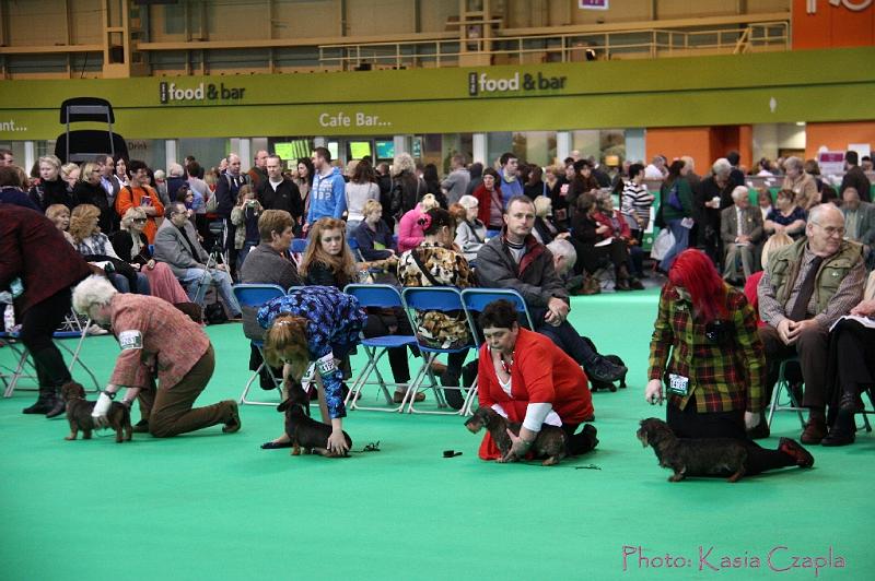 Crufts2011_2 908.jpg